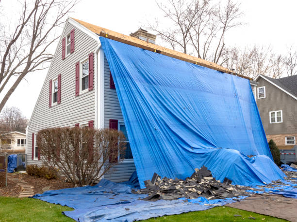 Best Historical Building Siding Restoration  in Coal City, WV